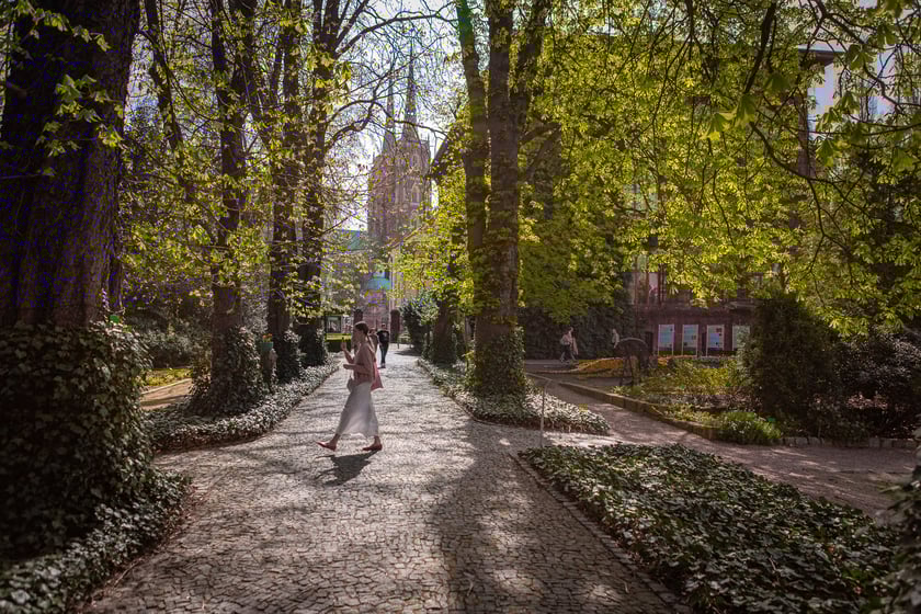 Wrocławski ogr&oacute;d botaniczny otwarty. Można go odwiedzać od 1 kwietnia do końca października.