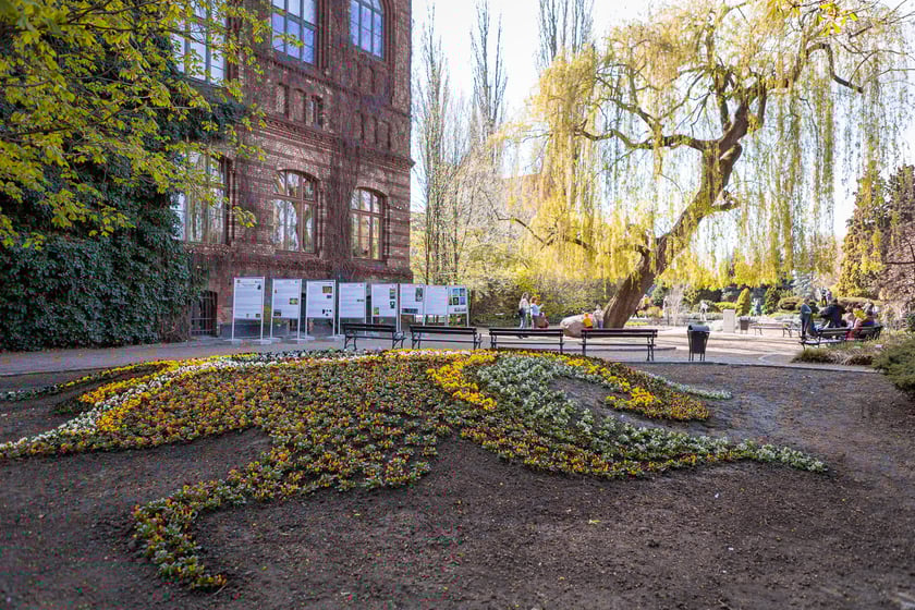 Wrocławski ogr&oacute;d botaniczny otwarty. Można go odwiedzać od 1 kwietnia do końca października.