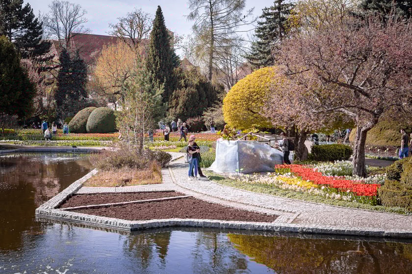 Wrocławski ogr&oacute;d botaniczny otwarty. Można go odwiedzać od 1 kwietnia do końca października.
