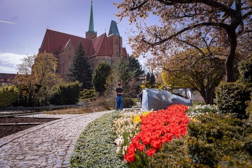 Wrocławski ogr&oacute;d botaniczny otwarty. Można go odwiedzać od 1 kwietnia do końca października.