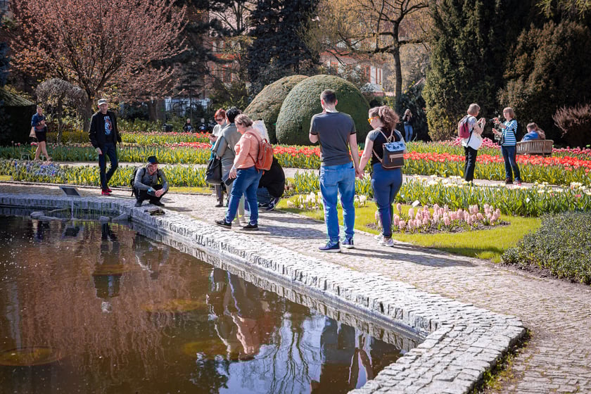 Wrocławski ogr&oacute;d botaniczny otwarty. Można go odwiedzać od 1 kwietnia do końca października.