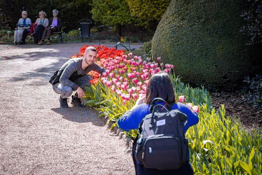 Wrocławski ogr&oacute;d botaniczny otwarty. Można go odwiedzać od 1 kwietnia do końca października.