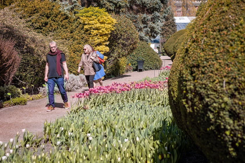 Wrocławski ogr&oacute;d botaniczny otwarty. Można go odwiedzać od 1 kwietnia do końca października.