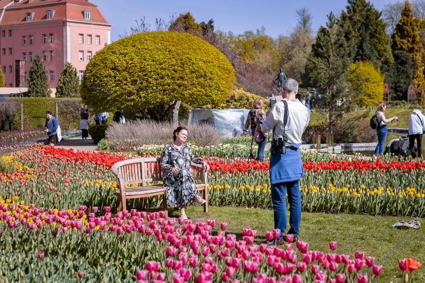 Wrocławski ogr&oacute;d botaniczny otwarty. Można go odwiedzać od 1 kwietnia do końca października.