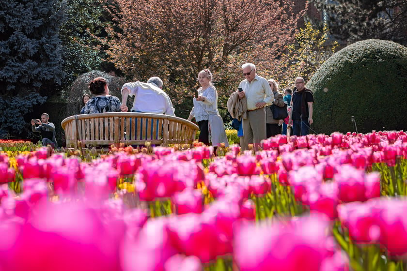 Wrocławski ogr&oacute;d botaniczny otwarty. Można go odwiedzać od 1 kwietnia do końca października.
