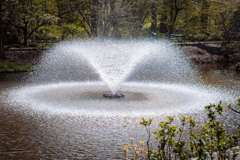 Wrocławski ogr&oacute;d botaniczny otwarty. Można go odwiedzać od 1 kwietnia do końca października.
