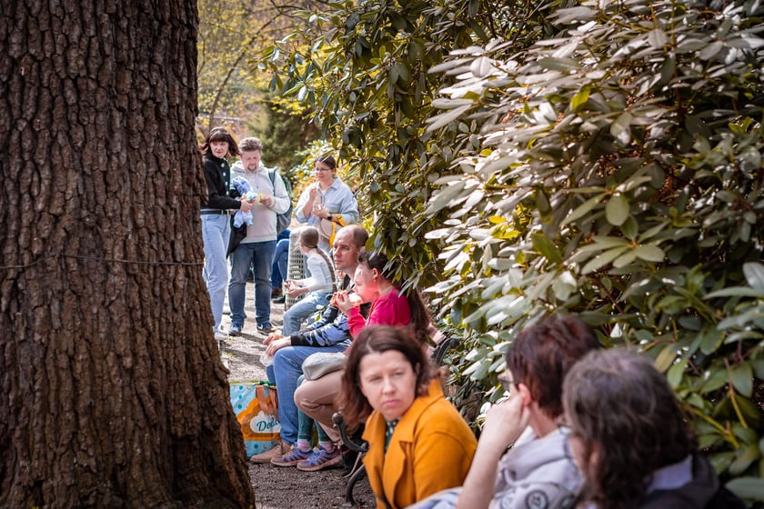 Wrocławski ogr&oacute;d botaniczny otwarty. Można go odwiedzać od 1 kwietnia do końca października.