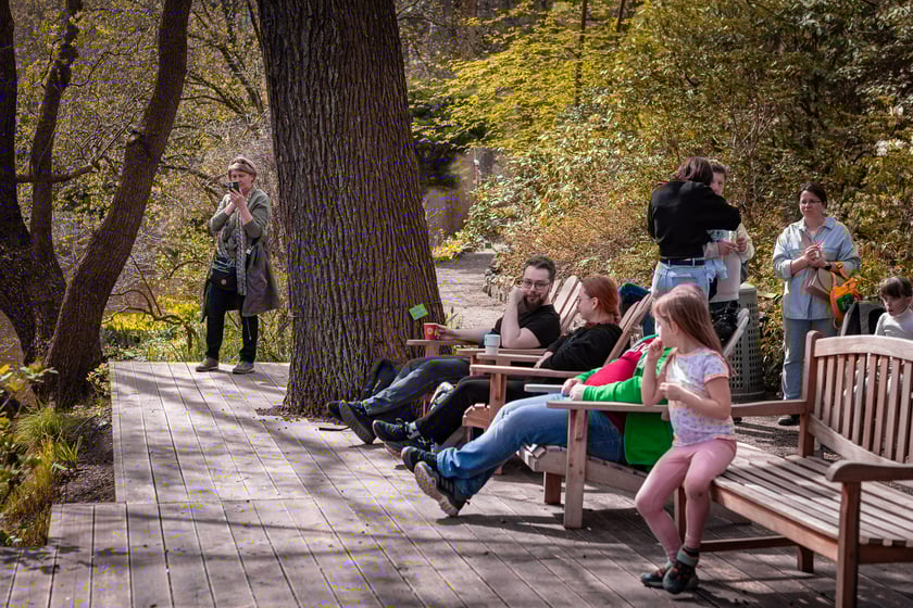 Wrocławski ogr&oacute;d botaniczny otwarty. Można go odwiedzać od 1 kwietnia do końca października.
