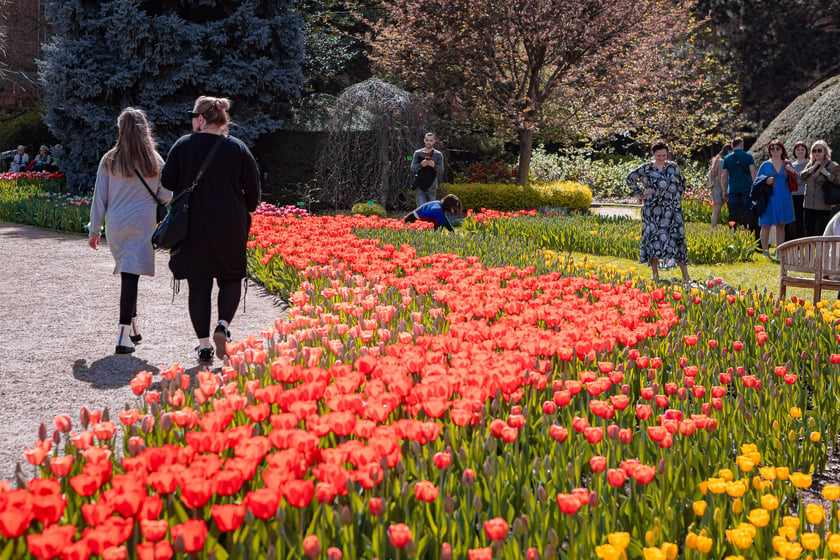 Wrocławski ogr&oacute;d botaniczny otwarty. Można go odwiedzać od 1 kwietnia do końca października.