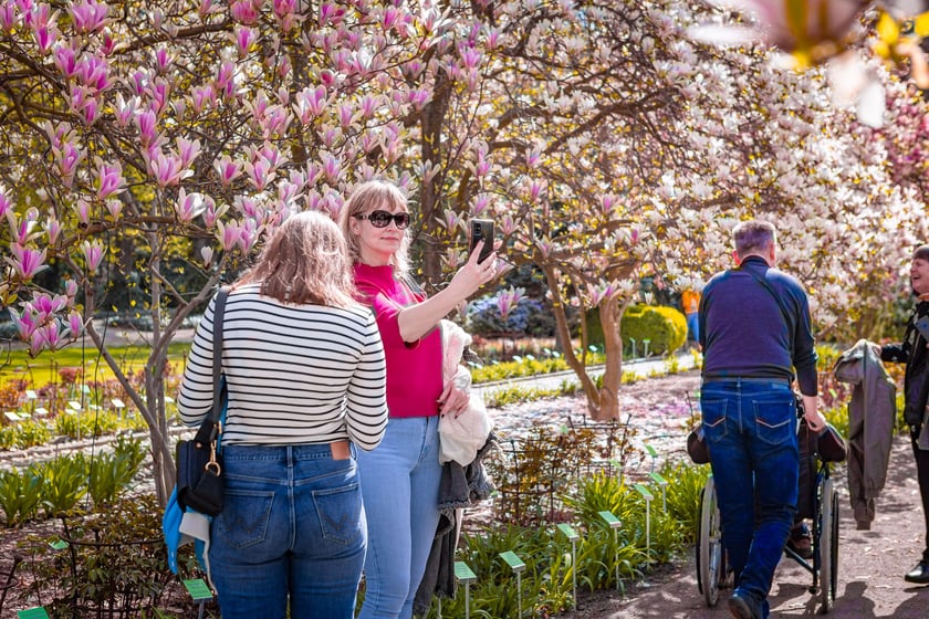 Wrocławski ogr&oacute;d botaniczny otwarty. Można go odwiedzać od 1 kwietnia do końca października.