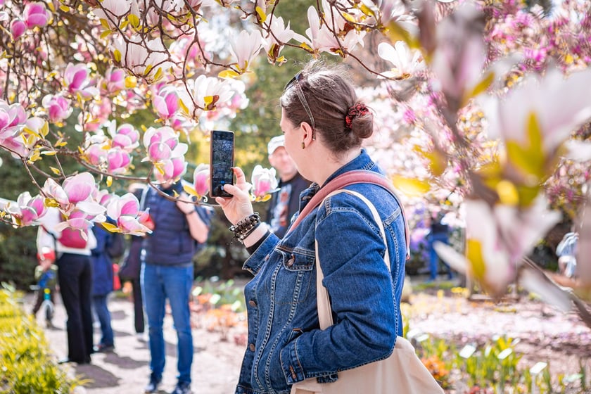 Wrocławski ogr&oacute;d botaniczny otwarty. Można go odwiedzać od 1 kwietnia do końca października.