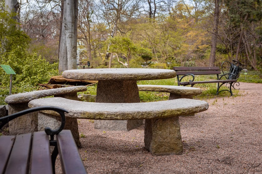 Wrocławski ogr&oacute;d botaniczny otwarty. Można go odwiedzać od 1 kwietnia do końca października.