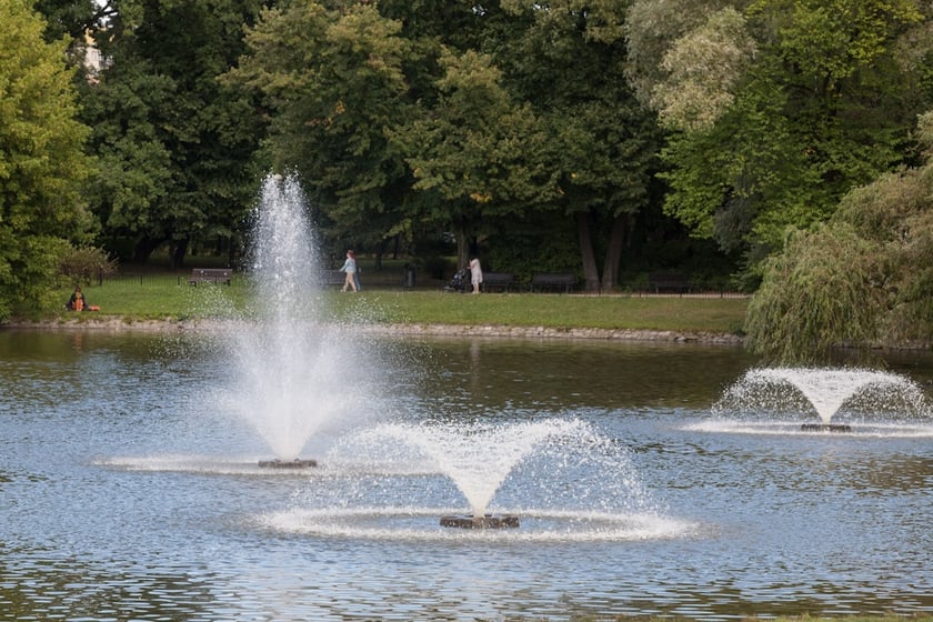 We Wrocławiu jest aż 60 parków.&nbsp;W wielu z nich znajdziemy place zabaw czy wybiegi dla psów. Sprawdź, do którego wrocławskiego parku warto się wybrać.