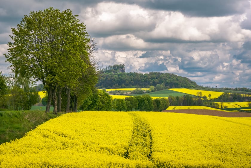 Kraina Wygasłych Wulkan&oacute;w