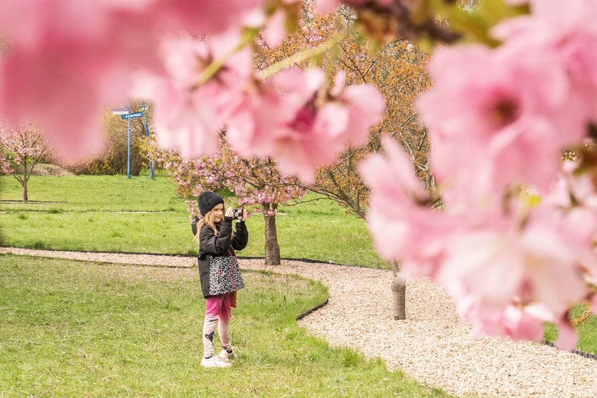 Aleja Sekur, Park Szczytnicki