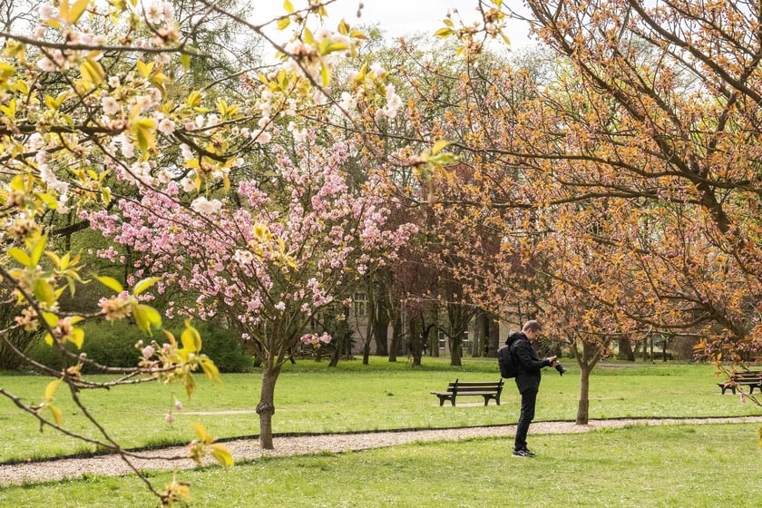 Aleja Sekur, Park Szczytnicki