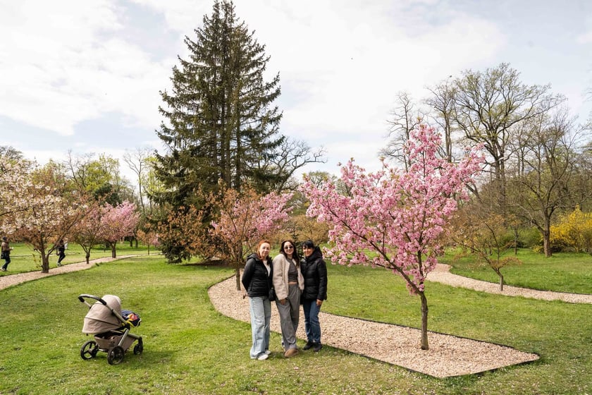 Aleja Sekur, Park Szczytnicki