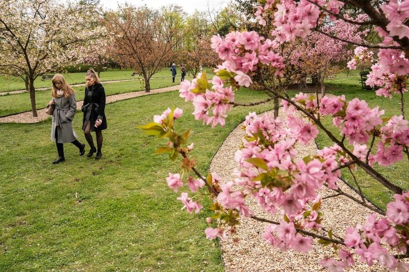 Aleja Sekur, Park Szczytnicki