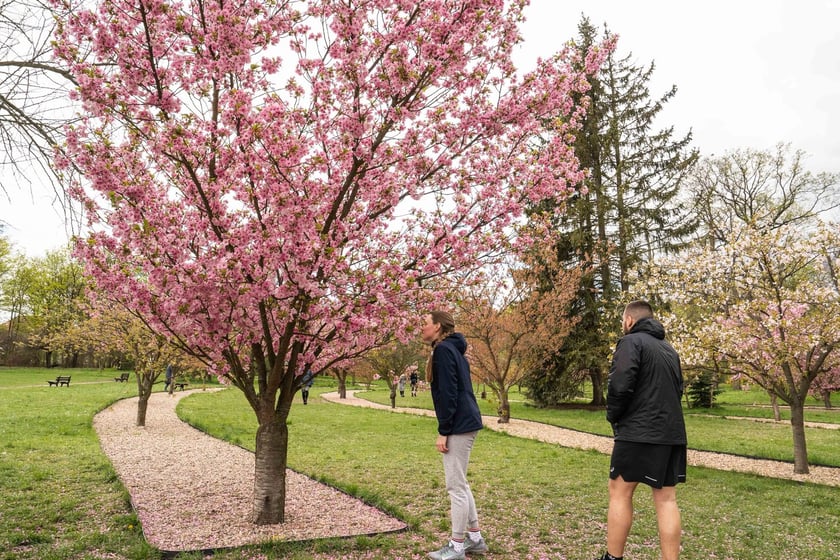 Aleja Sekur, Park Szczytnicki