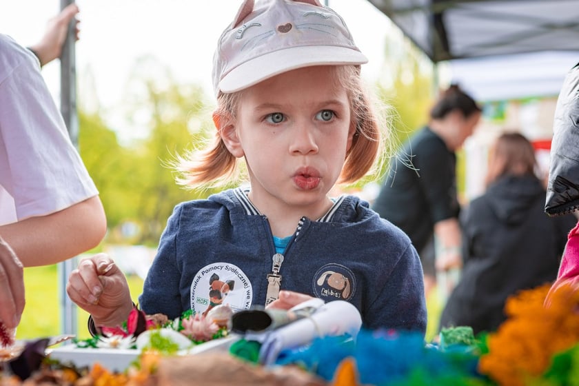 Piknik w parku na Niskich Łąkach i wiosenna edycja akcji WROśnij we WROcław&nbsp;&nbsp;