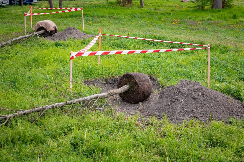 Piknik w parku na Niskich Łąkach i wiosenna edycja akcji WROśnij we WROcław&nbsp;&nbsp;