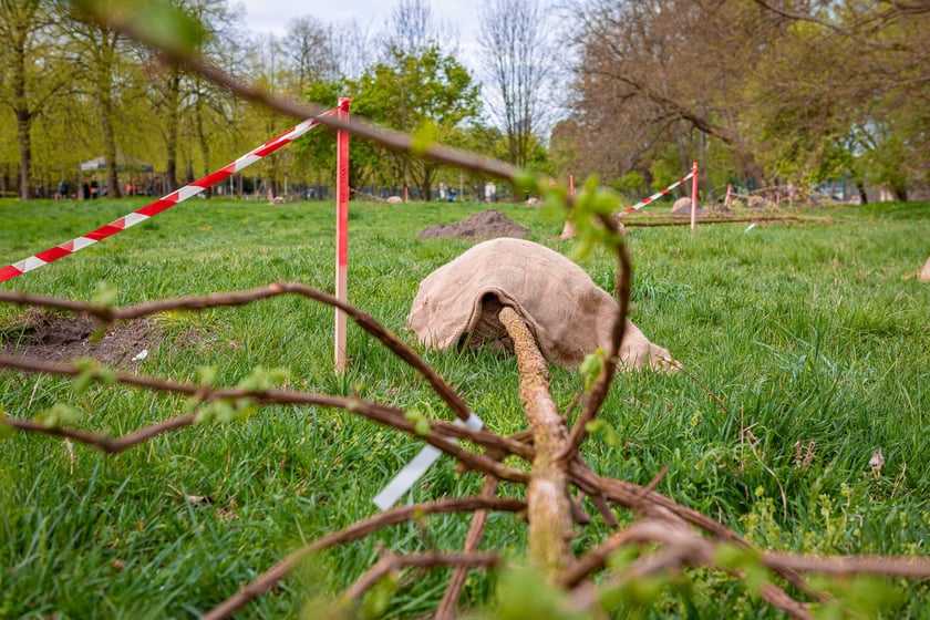 Piknik w parku na Niskich Łąkach i wiosenna edycja akcji WROśnij we WROcław&nbsp;&nbsp;