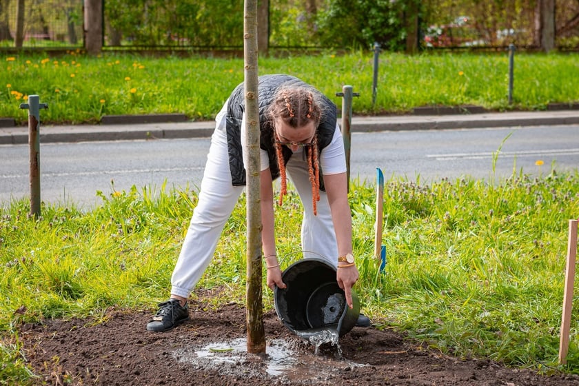 Piknik w parku na Niskich Łąkach i wiosenna edycja akcji WROśnij we WROcław&nbsp;&nbsp;
