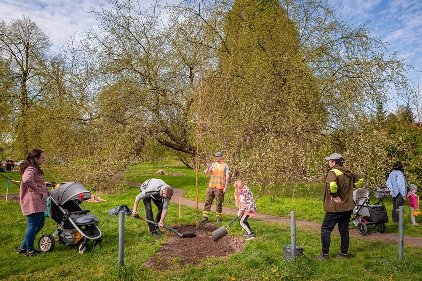 Piknik w parku na Niskich Łąkach i wiosenna edycja akcji WROśnij we WROcław&nbsp;&nbsp;