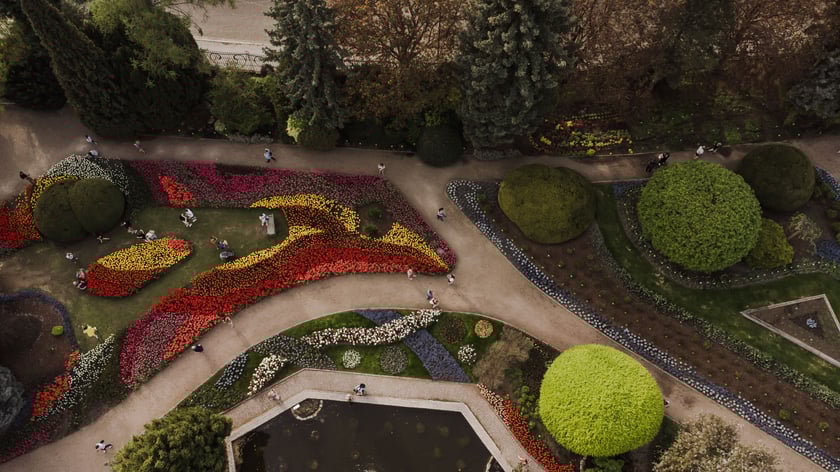Ogród Botaniczny - widok z drona