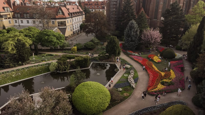 Ogród Botaniczny - widok z drona