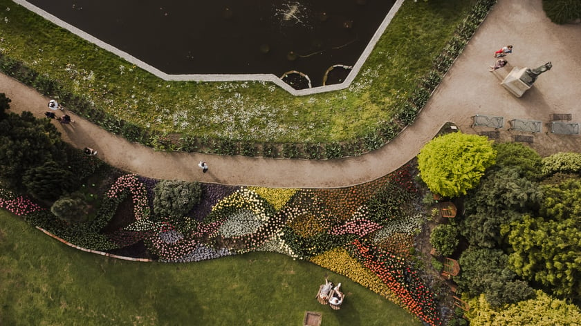 Ogród Botaniczny - widok z drona