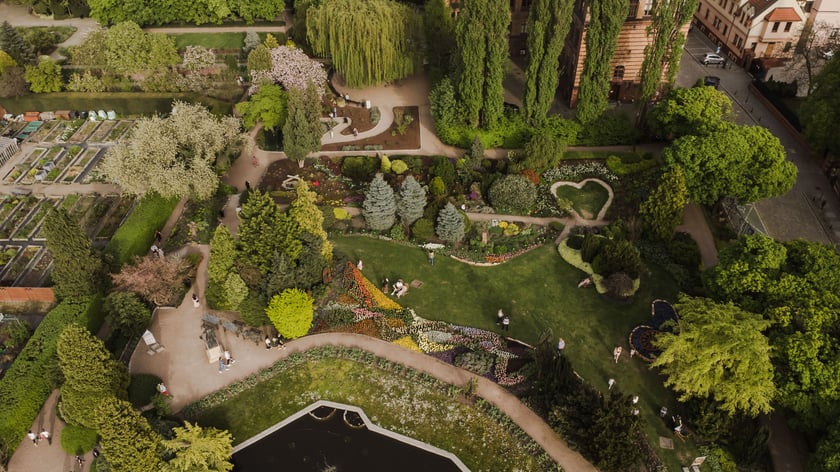 Ogród Botaniczny - widok z drona