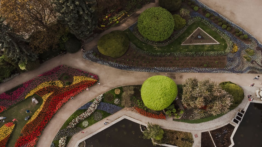 Ogród Botaniczny - widok z drona