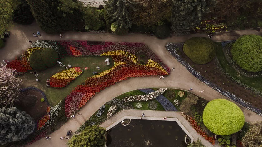 Ogród Botaniczny - widok z drona