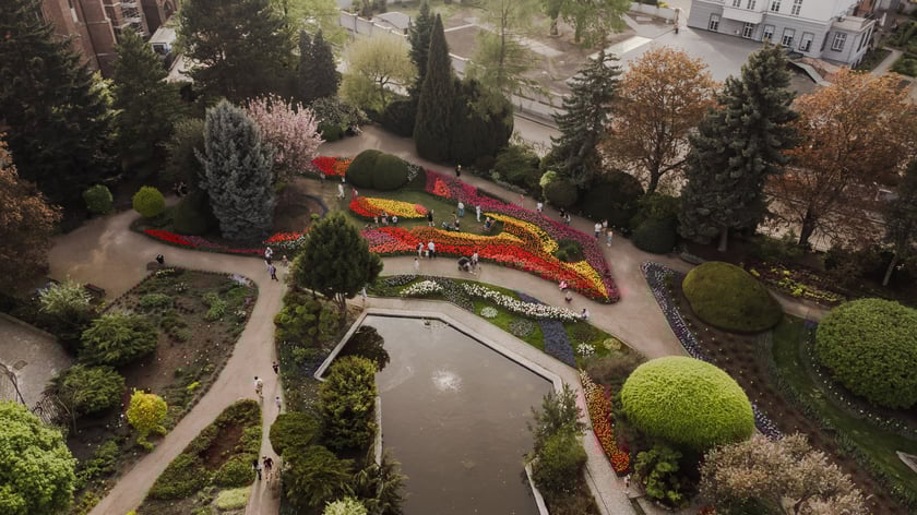Ogród Botaniczny - widok z drona