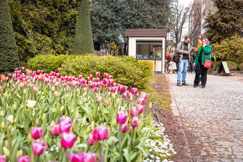 Ogród Botaniczny - zdjęcia wykonane 1 kwietnia 2024 r.
