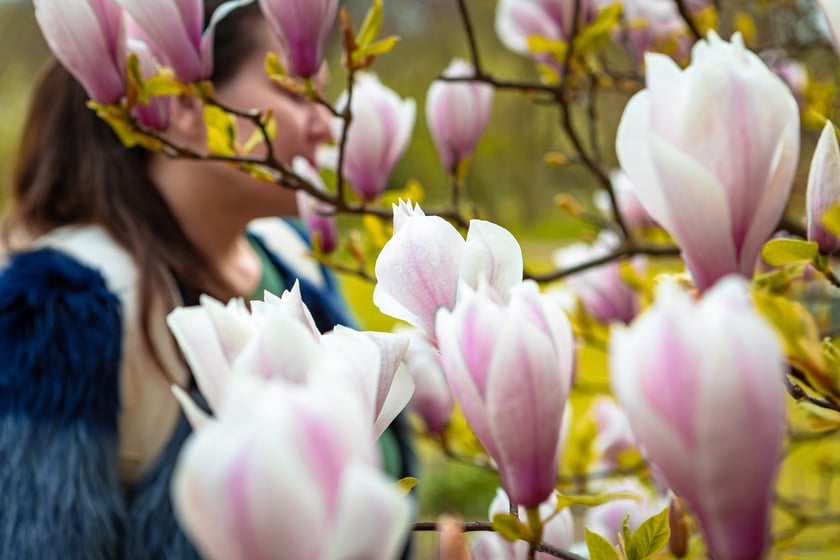 Ogród Botaniczny - zdjęcia wykonane 1 kwietnia 2024 r.
