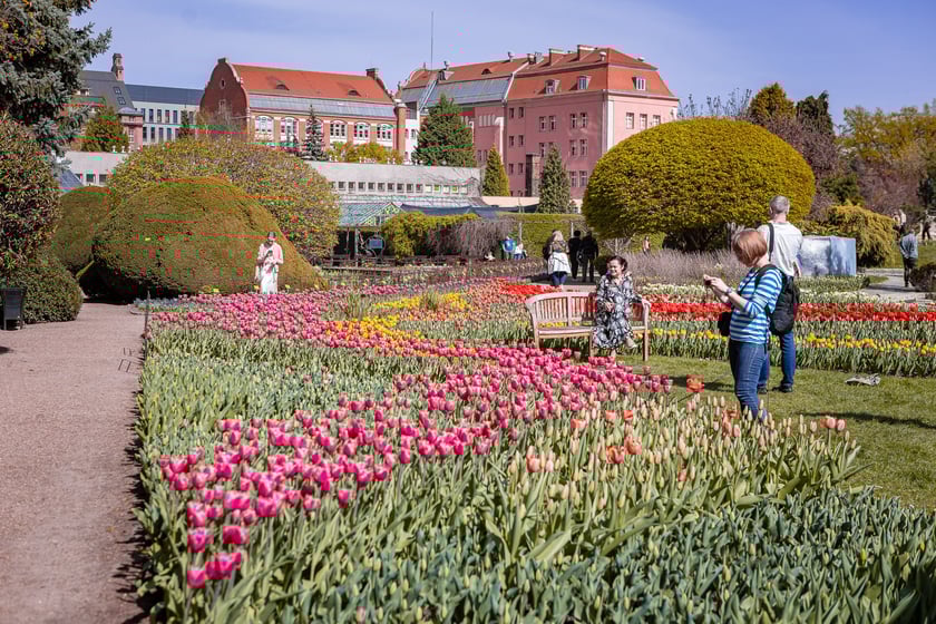 Ogród Botaniczny - zdjęcia wykonane 1 kwietnia 2024 r.