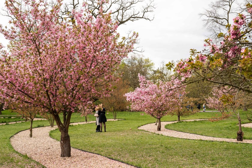 Park Szczytnicki