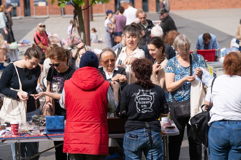 Pchli targ przy Centrum Historii Zjezdnia we Wrocławiu