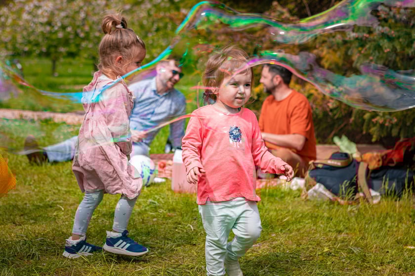 Piknik Kultury Japońskiej w parku Szczytnickim 14 kwietnia