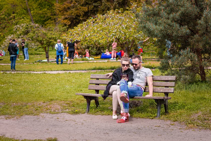 Piknik Kultury Japońskiej w parku Szczytnickim 14 kwietnia