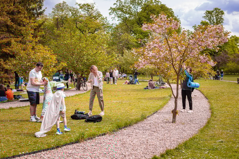 Piknik Kultury Japońskiej w parku Szczytnickim 14 kwietnia