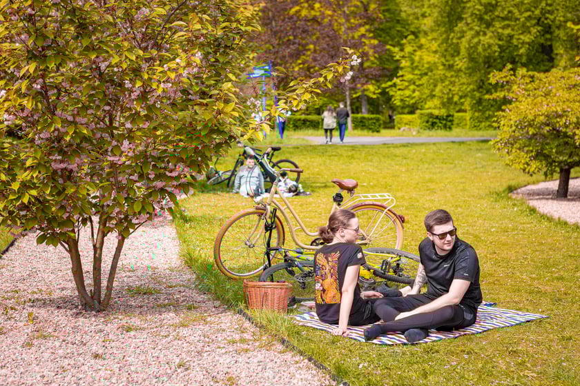 Piknik Kultury Japońskiej w parku Szczytnickim 14 kwietnia