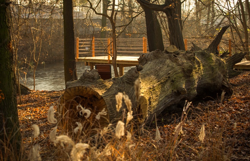 Park Czarna Woda