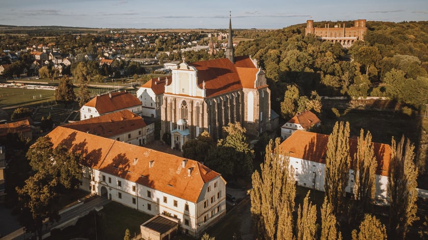 Widok na pałac i założenie klasztorne