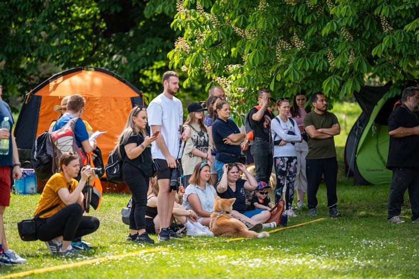 Wystawy Ps&oacute;w Rasowych: szpice i psy pierwotne (3.05.2024)&nbsp;
