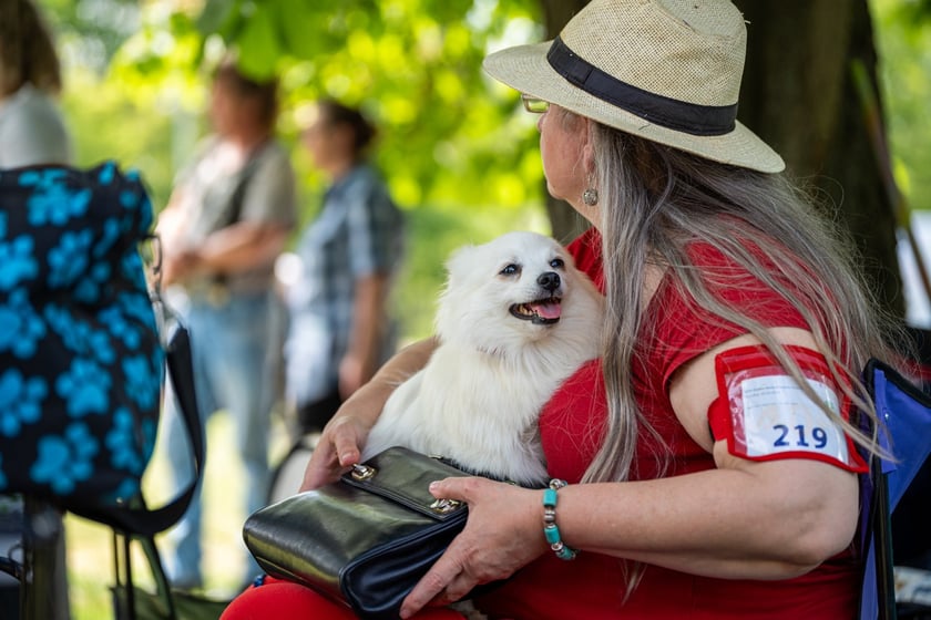 Wystawy Ps&oacute;w Rasowych: szpice i psy pierwotne (3.05.2024)&nbsp;