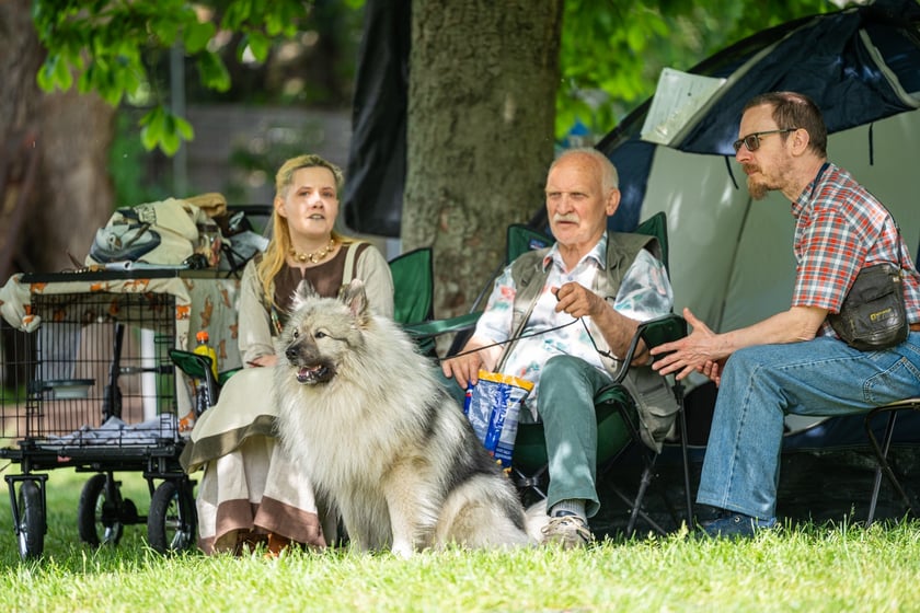 Wystawy Ps&oacute;w Rasowych: szpice i psy pierwotne (3.05.2024)&nbsp;