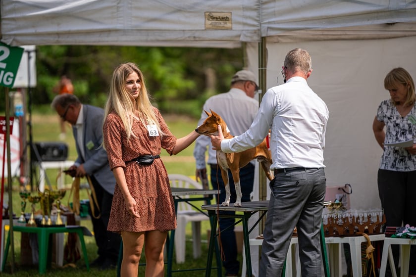 Wystawy Ps&oacute;w Rasowych: szpice i psy pierwotne (3.05.2024)&nbsp;